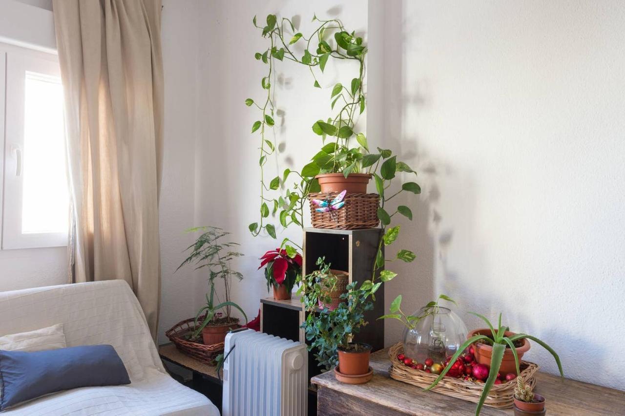 House Fata Appartamento Málaga Esterno foto